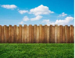 How You Should Keep your Wooden Fence Maintained During Summer