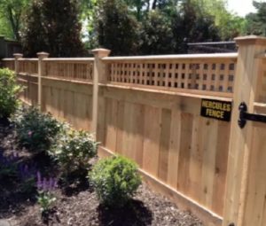 Plants That Can Go Well Along Your Fence Line