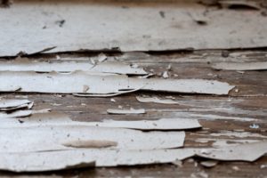 Things You’ll Want to Know Regarding Wood Rot on Your Fence