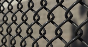 Residential Chain Link Fence