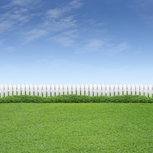 Vinyl Fence