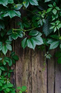 residential fence