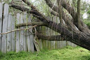 residential fence maintenance