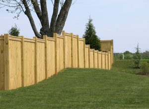 Privacy Fence