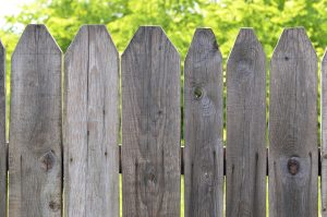 rotted fence post