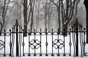 Wrought Iron Fence