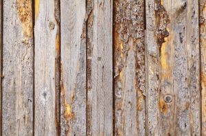 wood fence