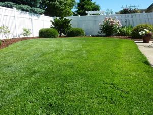 vinyl fence