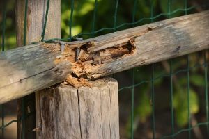 old fence