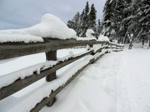 winter-fence