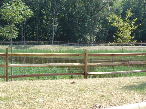 3 rail split rail fence