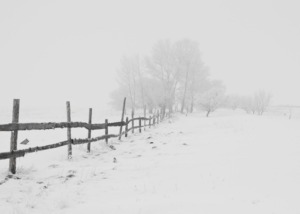 Winter Maintenance Suggestions for Your Wood or Metal Fence