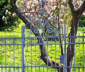 What to Ask Yourself When Getting a Fence Gate