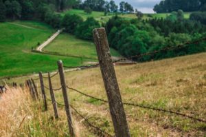 Getting Your Sagging Fence Gate Repaired