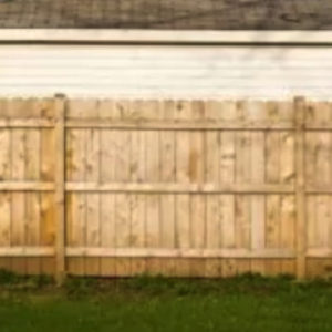 Ideas You Could Try for a Dog Fence