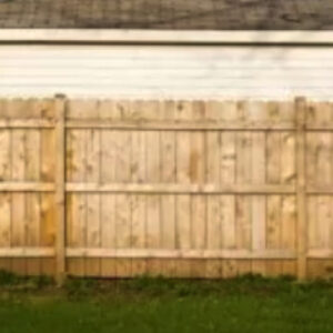 How to Know Your Wood Fence Has Termites